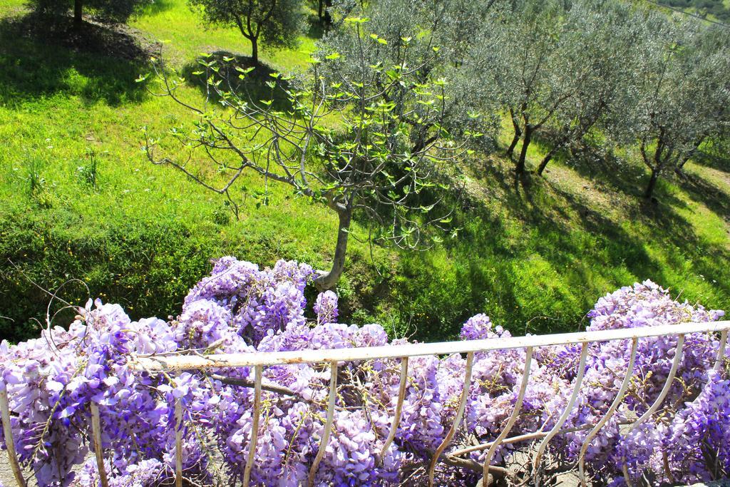Fattoria La Tavernuzza Grassina ภายนอก รูปภาพ
